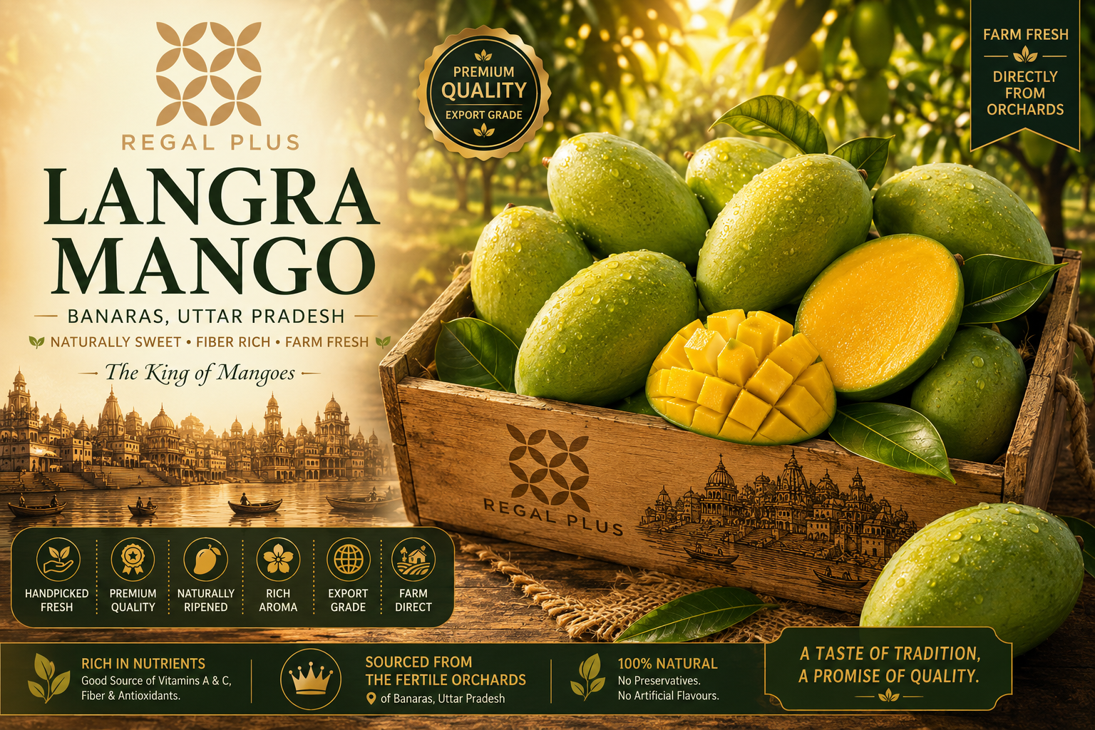 Langra Mango (Banaras, U.P.)