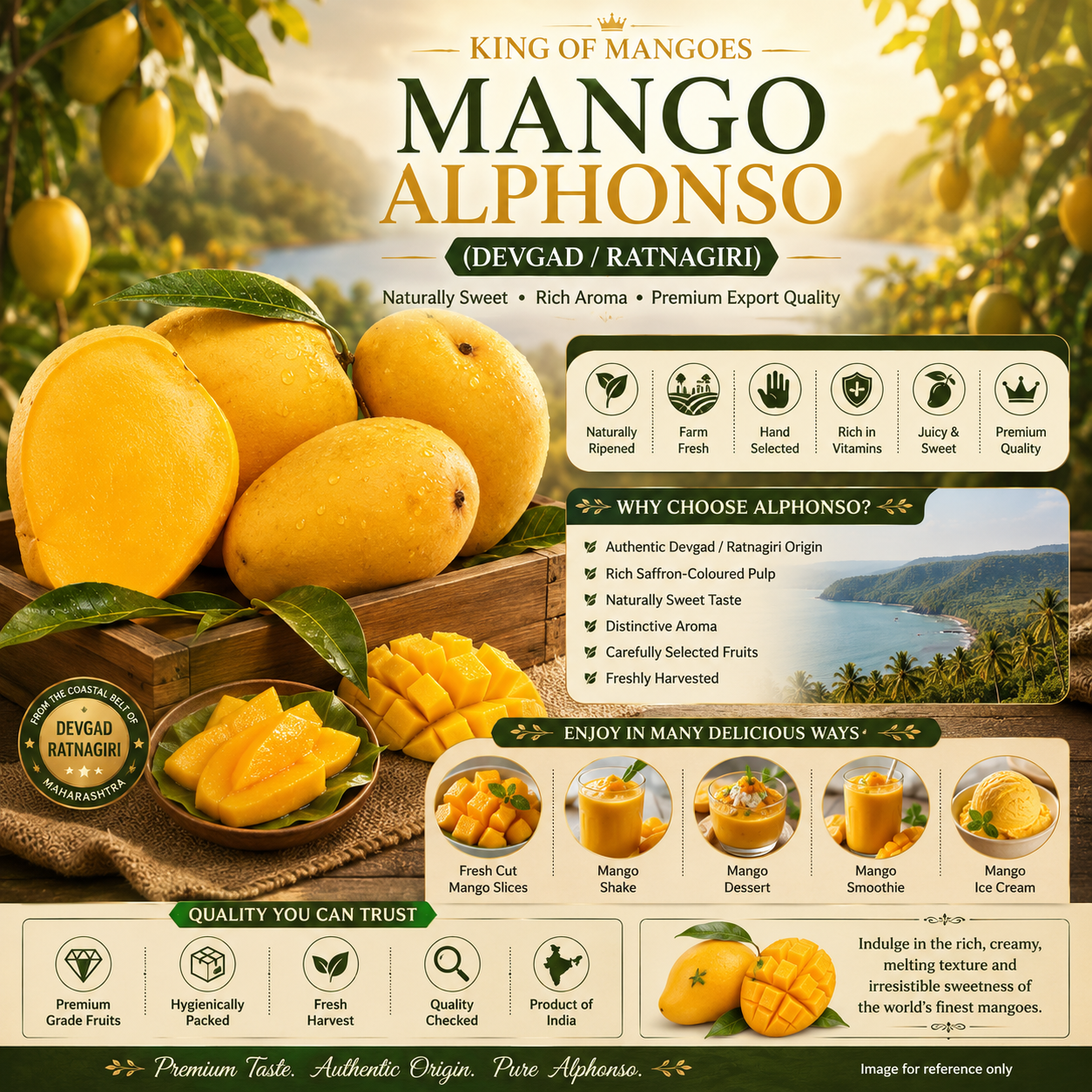 Mango Alphonso (Devgad / Ratnagiri)