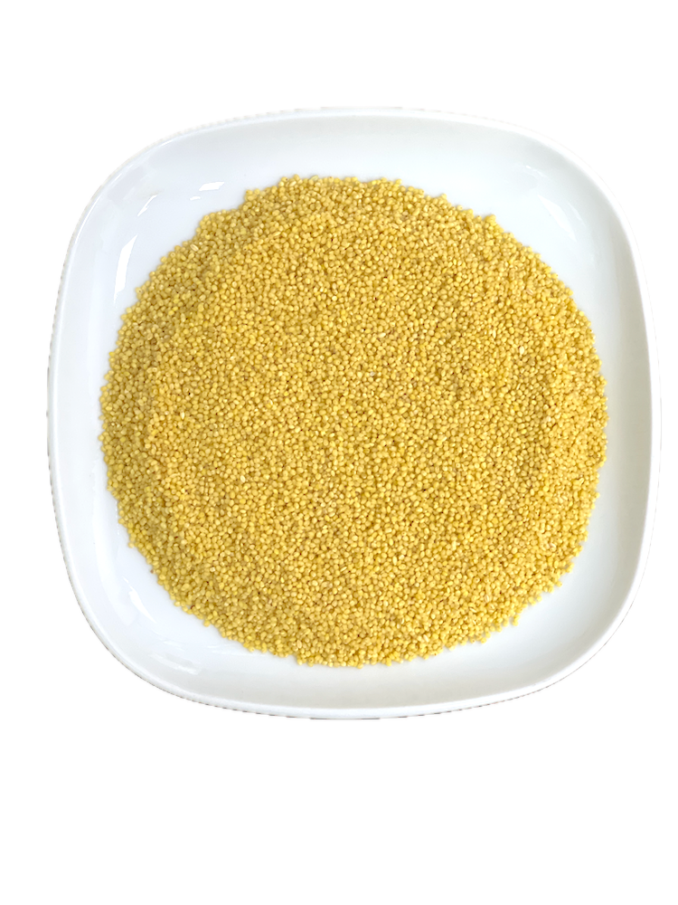 Foxtail Millet ( Kang / Thinai / Navane )