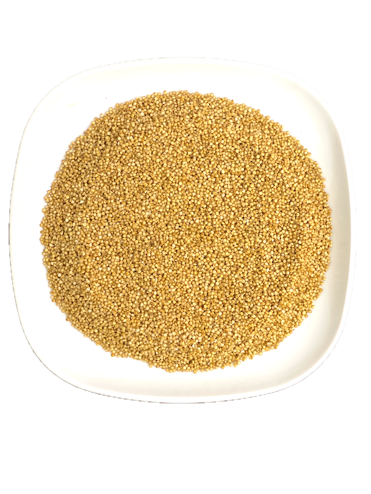 Kodo Millet ( Kodra / Varagu / Harka )