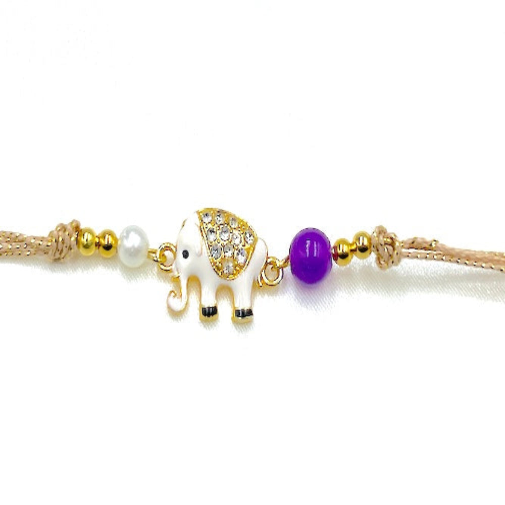 Rakhi Bhaiya BY16