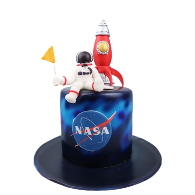 Nasa Astronaut Cake